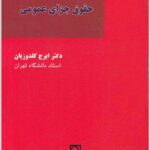 بایسته‌های جزای عمومی گلدوزیان