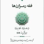 فقه رمزارزها